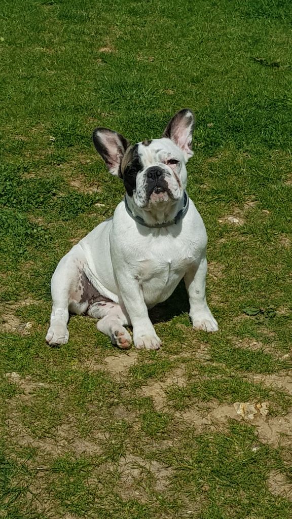 Vanille le Domaine de Kiara